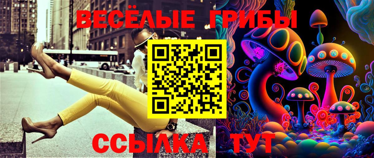 Назарово  Псилоцибиновые грибы Psilocybe  Галлюциногенные грибы MAGIC MUSHROOMS  Вход с VPN 